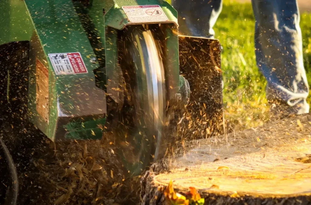 The Hidden Benefits of Stump Grinding The Hidden Benefits of Stump Grinding