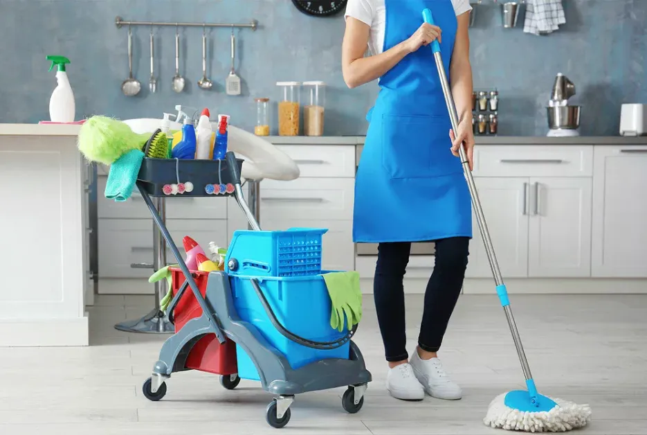 Why Professional House Cleaning Services Are Worth Every Penny Why Professional House Cleaning Services Are Worth Every Penny