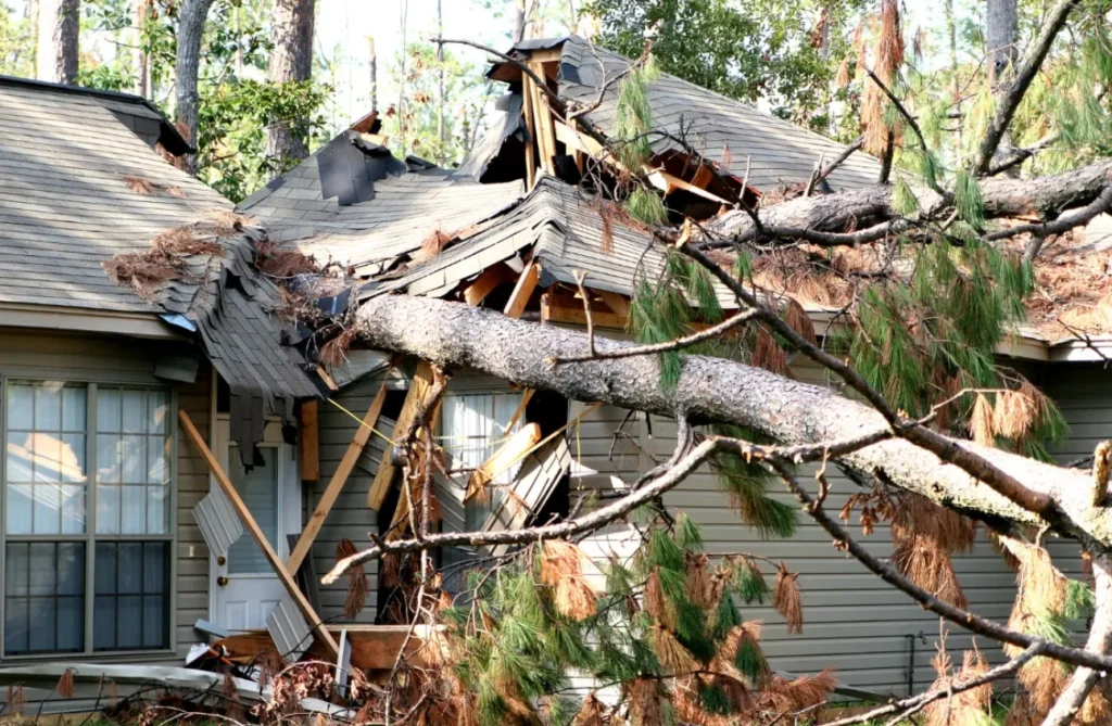 Why Hire a Public Adjuster After a Fire or Flood in Michigan